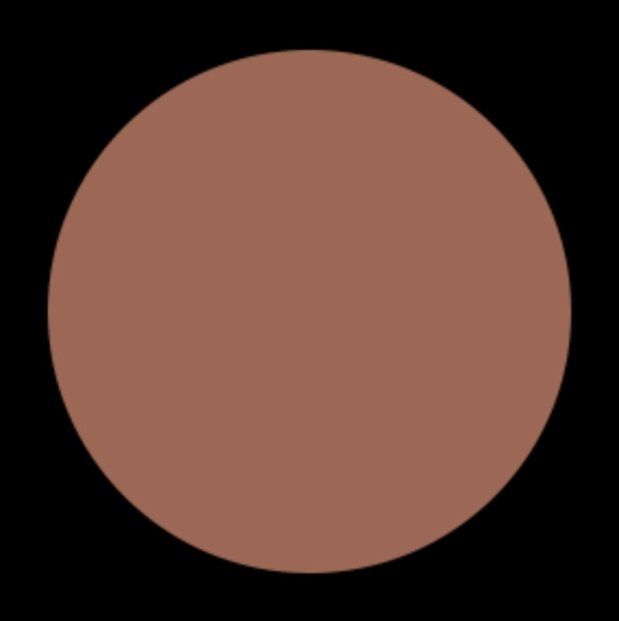 Blush Makeup Cosmetics Vinyl Lip Lacquer