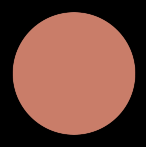 Blush Makeup Cosmetics Vinyl Lip Lacquer