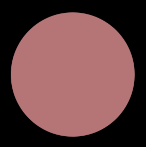 Blush Makeup Cosmetics Vinyl Lip Lacquer
