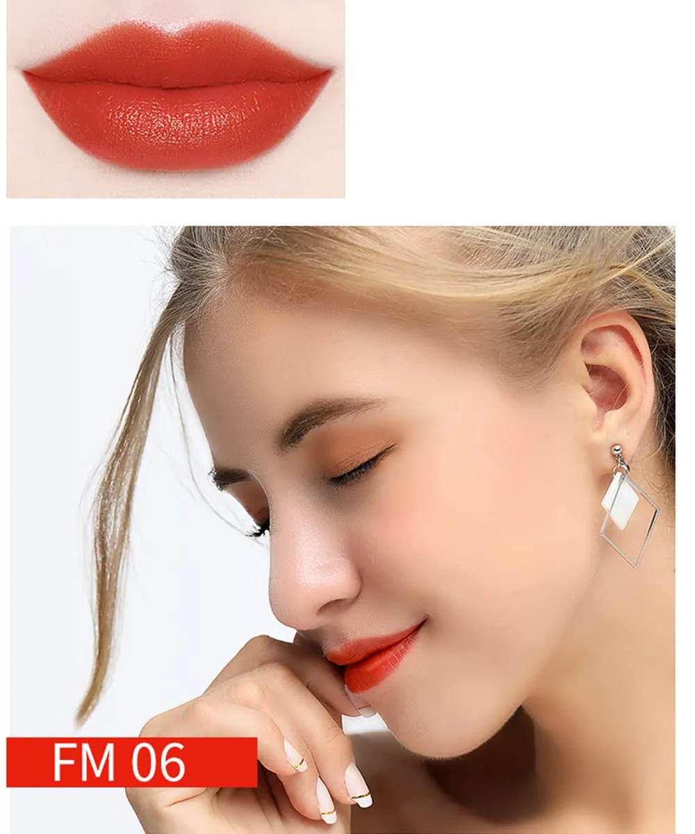 Matte Liquid Lipstick, 10 Colos Ladies Matte Liquid Lipstick Long Lasting Waterproof Velvet Lip Gloss Set Pigmented Lip Makeup Gift for Girls and Women (FM06)