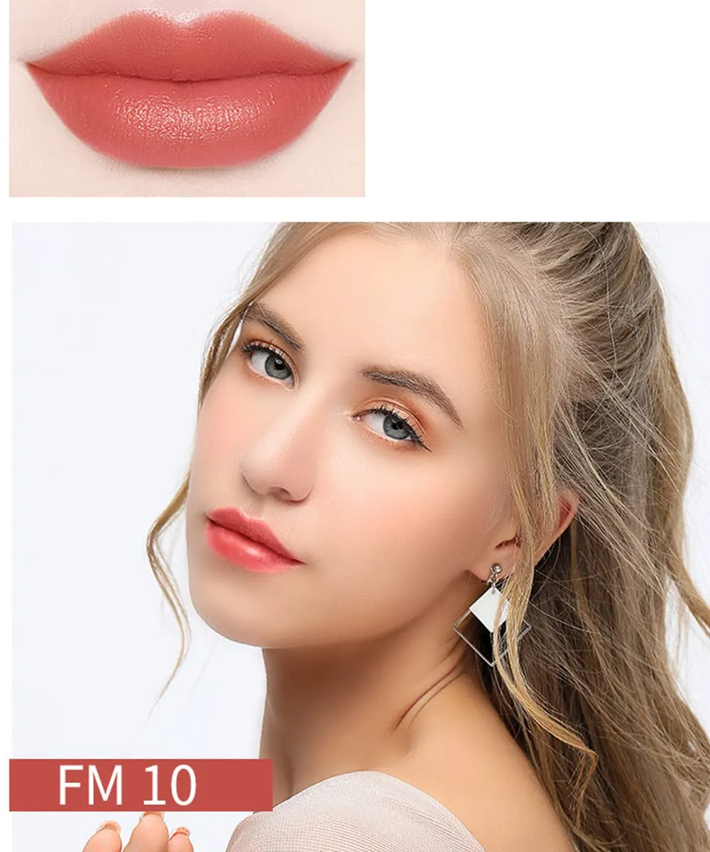Matte Liquid Lipstick, 10 Colos Ladies Matte Liquid Lipstick Long Lasting Waterproof Velvet Lip Gloss Set Pigmented Lip Makeup Gift for Girls and Women (FM10)