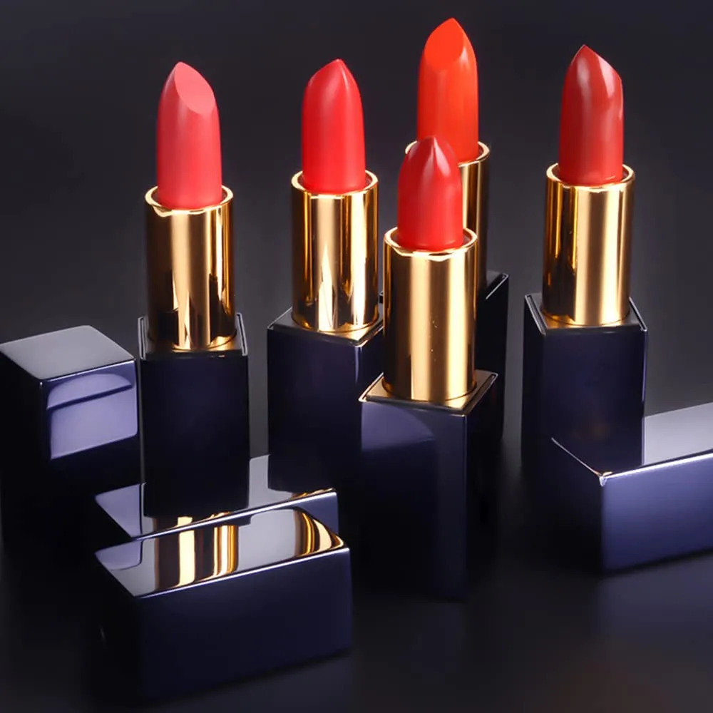 Matte Liquid Lipstick, 10 Colos Ladies Matte Liquid Lipstick Long Lasting Waterproof Velvet Lip Gloss Set Pigmented Lip Makeup Gift for Girls and Women (FM10)