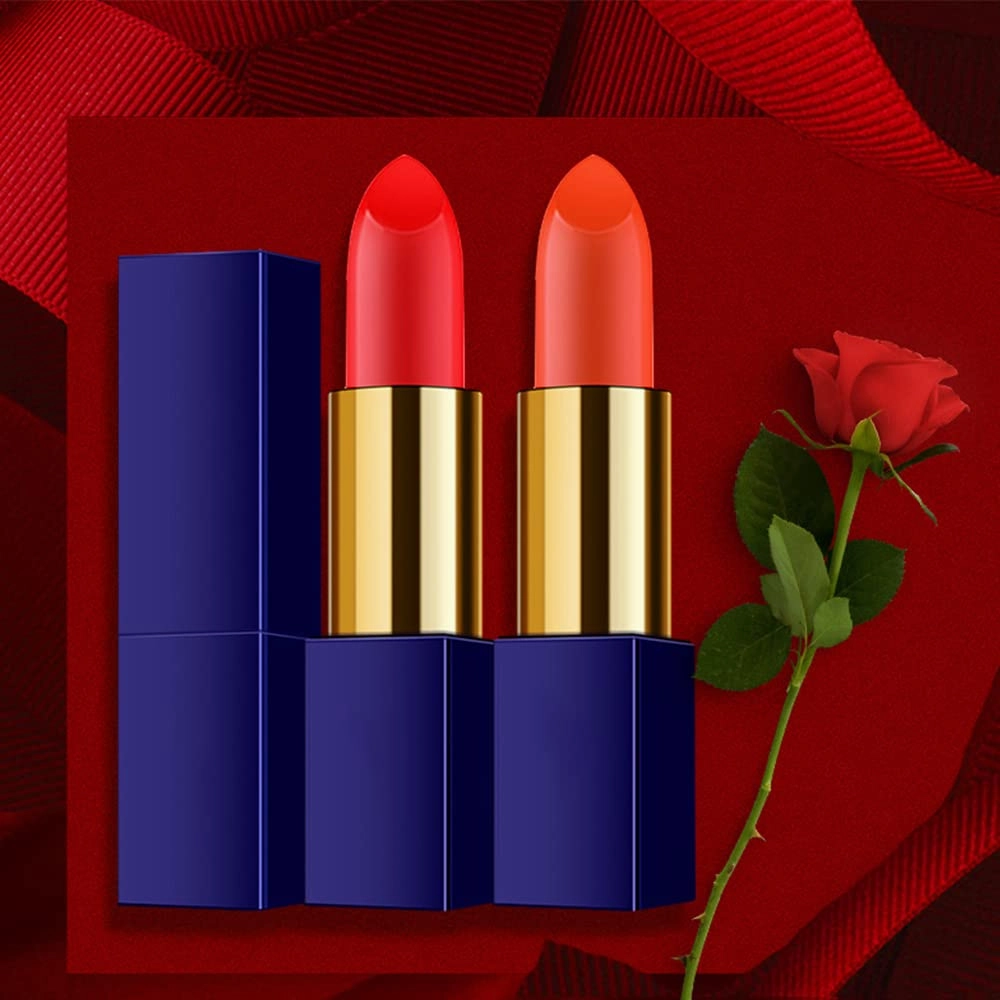 Matte Liquid Lipstick, 10 Colos Ladies Matte Liquid Lipstick Long Lasting Waterproof Velvet Lip Gloss Set Pigmented Lip Makeup Gift for Girls and Women (FM02)