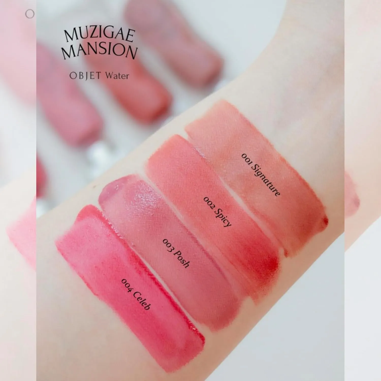 Objet Water Lip Stain Matte Lipstick – (Watery to Blurry Tint), Long-Lasting, Hydrating, Waterproof Wear – K-Beauty Liquid Lipstick for Women, Bold Red Tinted Gloss (006 BEHIND)